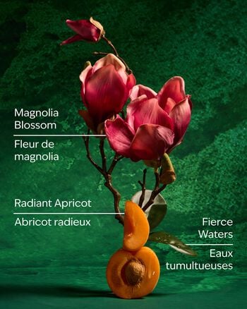 Mulan Gentle & Clean Foaming Hand Soap Gentle & Clean Foaming Hand Soap