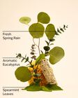 Eucalyptus Spearmint Body and Massage Oil image number null