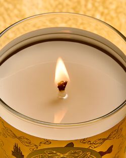 Life's a Fairytale Single Wick Candle image number null