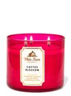 Cactus Blossom 3-Wick Candle image number null
