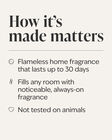Sweet Orange & Agave Wallflowers Fragrance Refill image number null