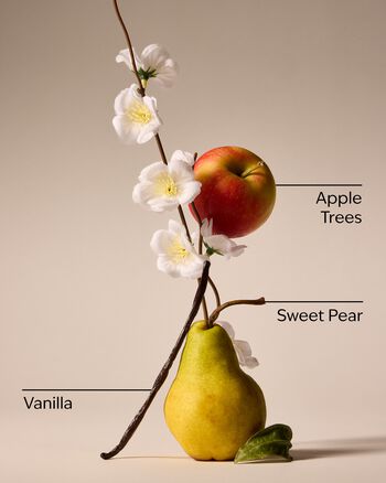 Spring Apple 3-Wick Candle 3-Wick Candle