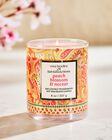 Peach Blossom & Nectar Single Wick Candle image number null