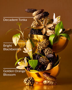 Touch of Gold Moisturizing Body Wash image number null