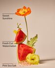 Fresh Watermelon Revitalizing Gel Hand Soap image number null