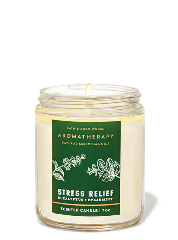 Eucalyptus Spearmint Single Wick Candle Single Wick Candle