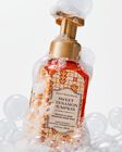 Sweet Cinnamon Pumpkin Gentle & Clean Foaming Hand Soap image number null