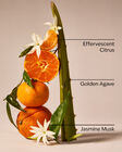 Sweet Orange & Agave PocketBac Hand Sanitizer image number null