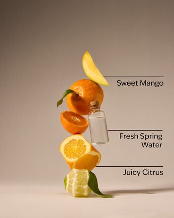 Midnight Blue Citrus Signature Single Wick Candle Single Wick Candle