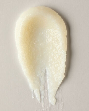 Sea Salt Coast Creamy Body Scrub Creamy Body Scrub