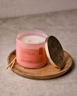 Pumpkin & Salted Toffee 3-Wick Candle image number null