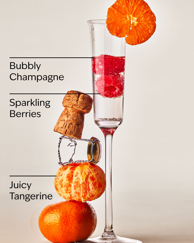 Champagne Toast Lip Scrub Lip Scrub