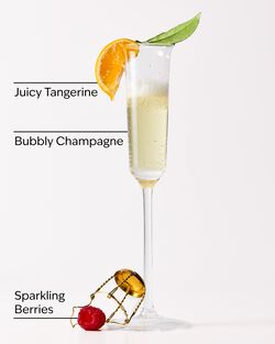 Champagne Toast Gentle & Clean Foaming Hand Soap image number null