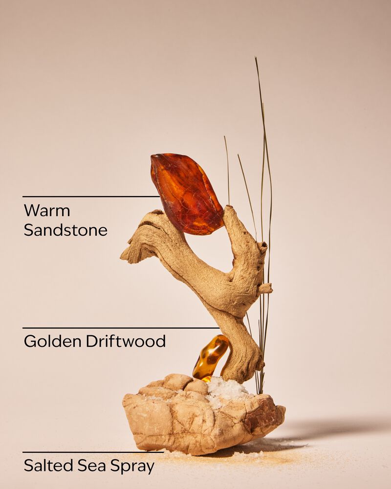 Sea & Sandstone Gentle & Clean Foaming Hand Soap Gentle & Clean Foaming Hand Soap
