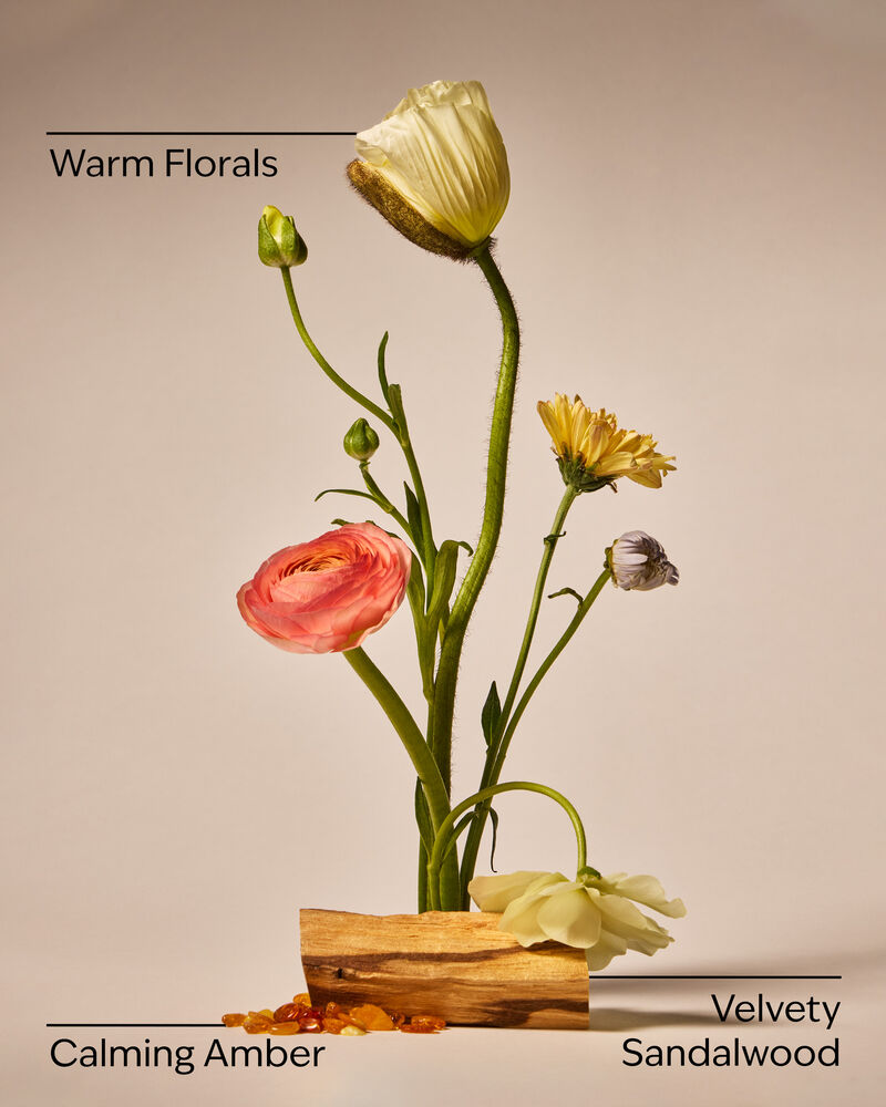 Warm Summer Evening Single Wick Candle Single Wick Candle