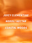 Calypso Clementine Travel Size Body Wash image number null