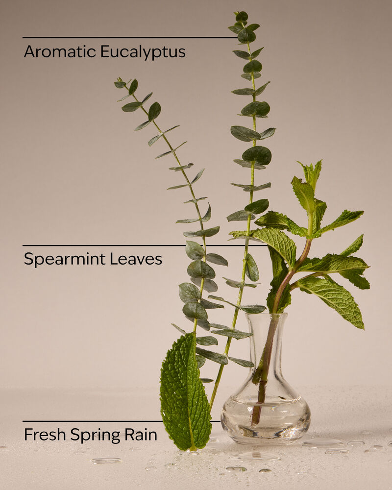 Eucalyptus Rain Wallflowers Fragrance Refill Wallflowers Fragrance Refill