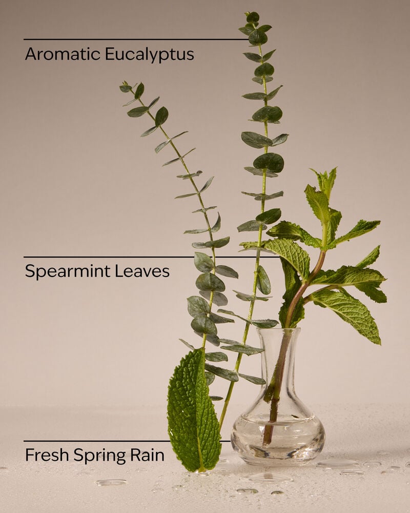 Eucalyptus Rain 3-Wick Candle 3-Wick Candle