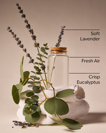 Laundry Day Car Fragrance Refill Car Fragrance Refill