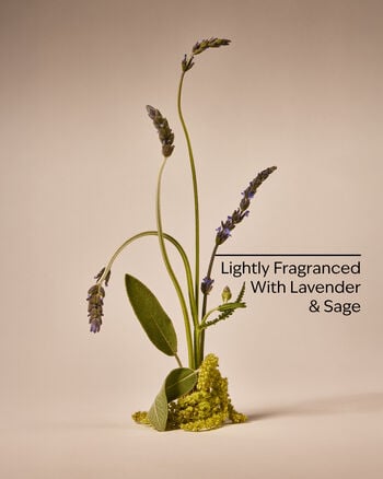 Ultimate Beard Oil Beard Oil