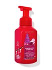 Pomegranate Citrus Fizz Gentle & Clean Foaming Hand Soap image number null