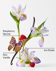 Butterfly Body Wash image number null