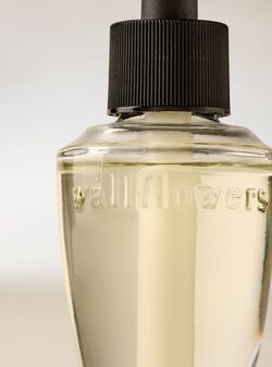 Eucalyptus Spearmint Wallflowers Fragrance Refill image number null