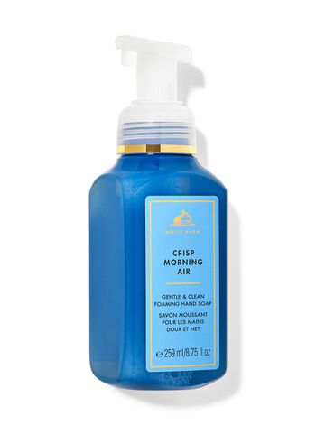 Crisp Morning Air Gentle & Clean Foaming Hand Soap Gentle & Clean Foaming Hand Soap