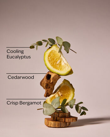 Onyx Frost Hanging Fragrance Diffuser Hanging Fragrance Diffuser