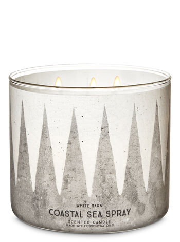 Coastal Sea Spray 3-Wick Candle 3-Wick Candle