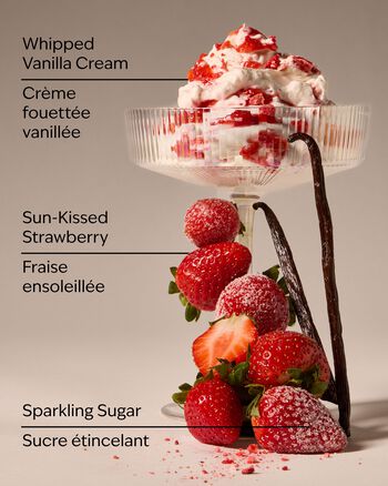 Strawberry Lover Wallflowers Fragrance Refill Wallflowers Fragrance Refill