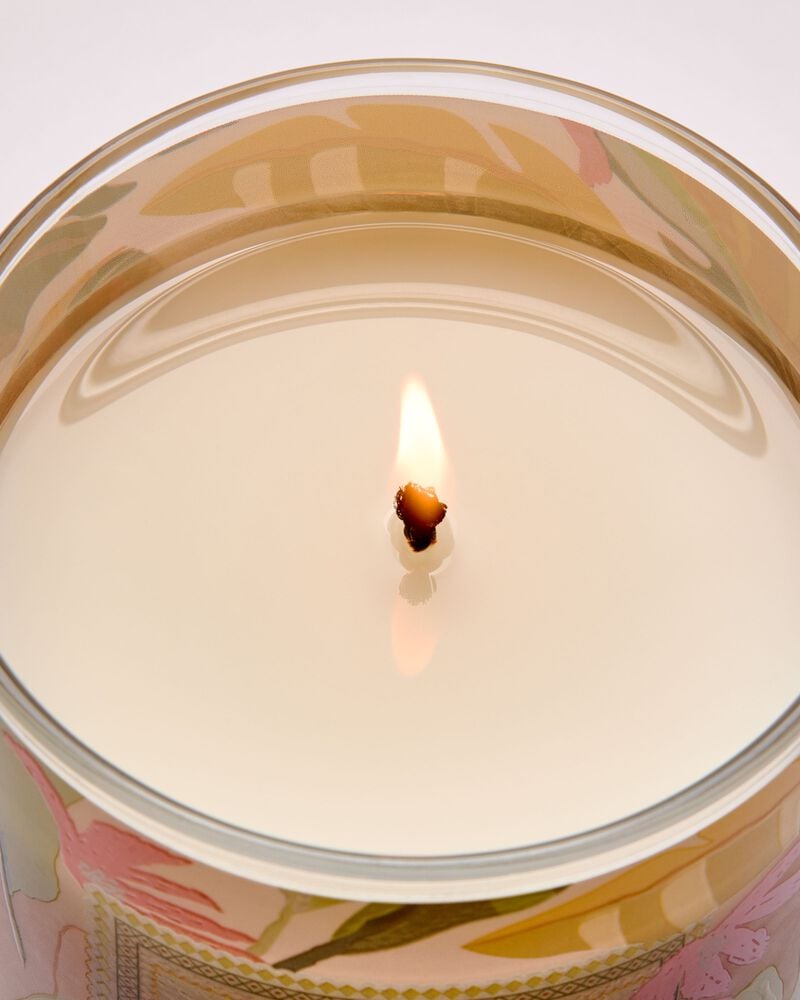 Coconut Pi&ntilde;a Colada Single Wick Candle Single Wick Candle