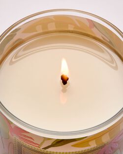 Coconut Pi&ntilde;a Colada Single Wick Candle image number null
