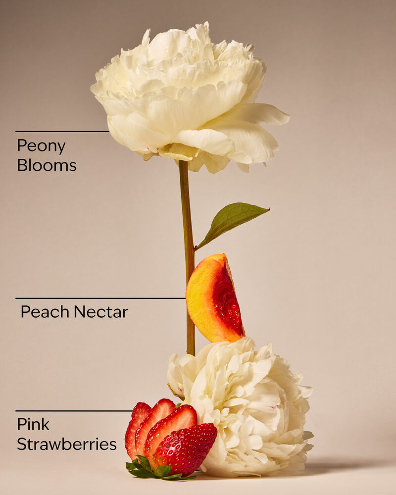 Gingham Gorgeous Fine Fragrance Mist Fine Fragrance Mist