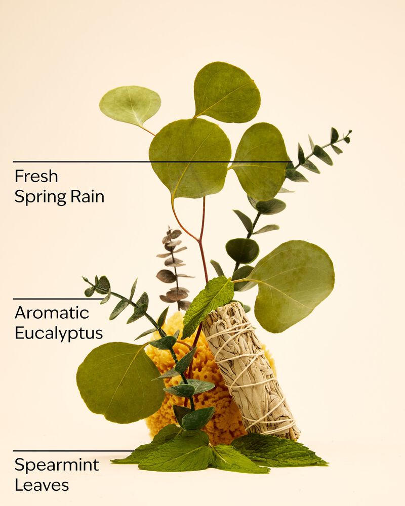Eucalyptus Spearmint Essential Oil Mist Travel Size Essential Oil Mist
