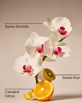 Pink Kiwi Berry Daily Moisturizing Hand Soap Daily Moisturizing Hand Soap