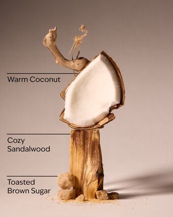 Brown Sugar & Coconut Revitalizing Gel Hand Soap Revitalizing Gel Hand Soap