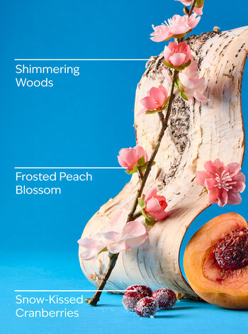 Snowy Peach Berry Whipped Confetti Body Scrub Whipped Confetti Body Scrub