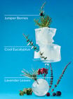 Frozen Lake Wallflowers Fragrance Refill image number null
