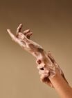 Rose Water & Ivy Gentle & Clean Foaming Hand Soap image number null