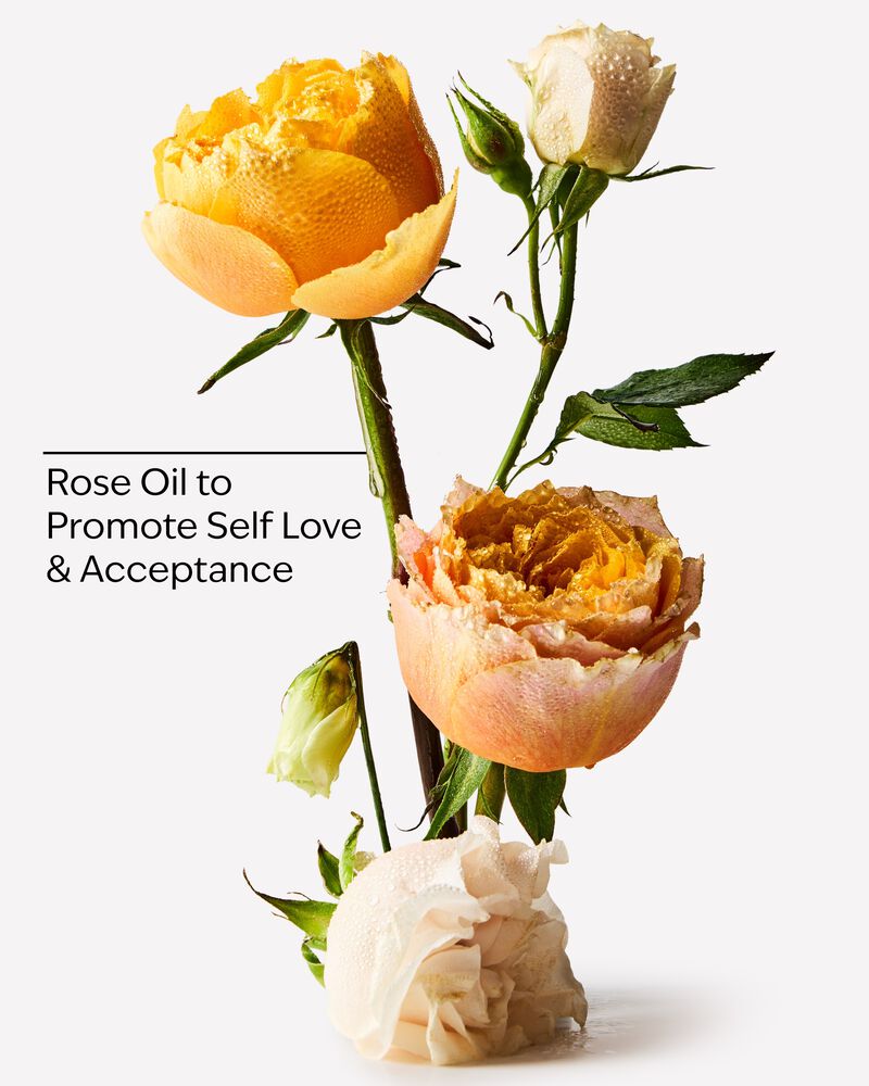 Heirloom Rose Body Wash & Foam Bath Body Wash & Foam Bath