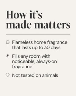 Laundry Day Wallflowers Fragrance Refill image number null