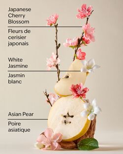 Japanese Cherry Blossom Gift Set image number null
