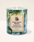 Warm Ocean Breeze Single Wick Candle image number null