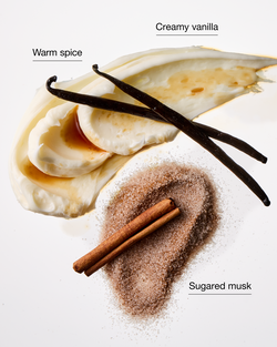 Sugared Snickerdoodle Single Wick Candle image number null