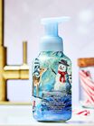 Fresh Sparkling Snow Gentle & Clean Foaming Hand Soap image number null