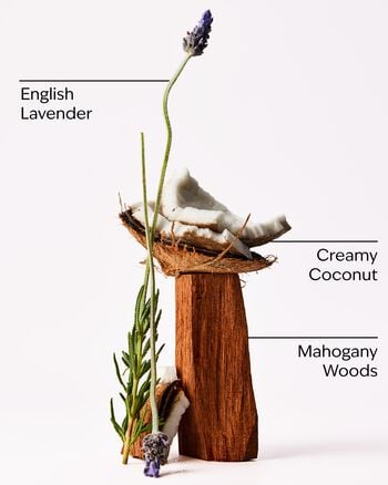 Mahogany Coconut Car Fragrance Refill Car Fragrance Refill