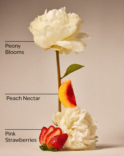 Gingham Gorgeous Gift Box Set image number null