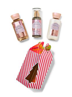 Champagne Toast Mini Gift Set Champagne Toast Mini Gift Set