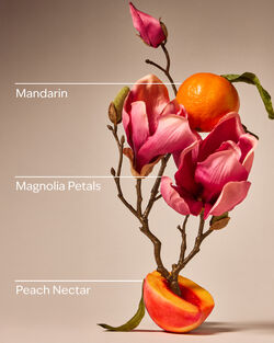 Pink Peach Blossom Cleansing Gel Hand Soap image number null